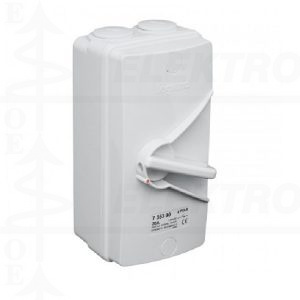 Kirtiklis korpuse IP65 ISOLATOR SWITCH AC22 3P 40A