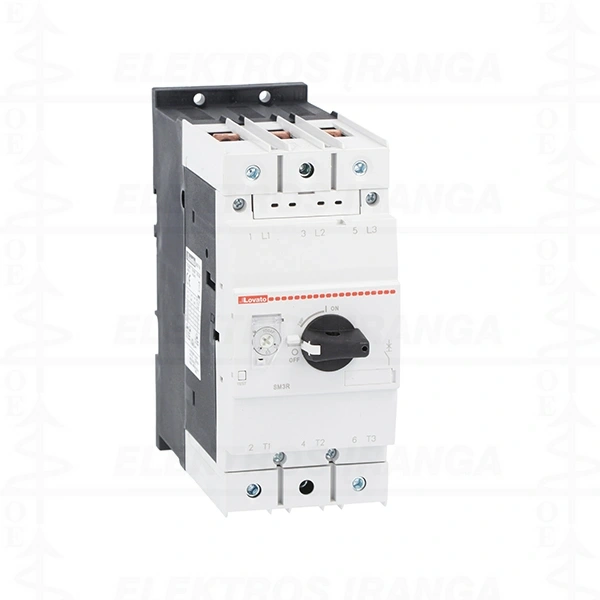 Variklinis automatinis išjungėjas SM3P 55-75A